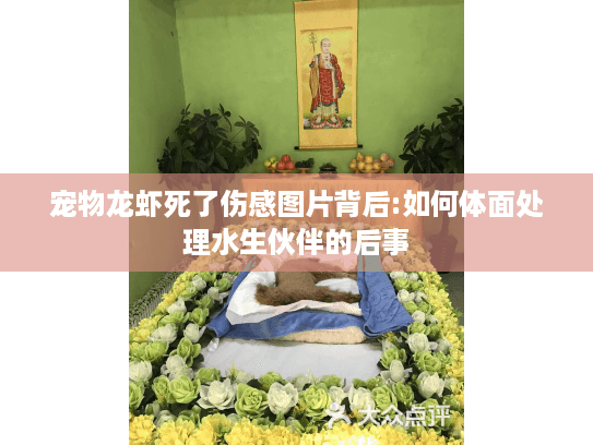 宠物龙虾死了伤感图片背后:如何体面处理水生伙伴的后事