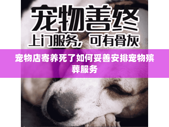 宠物店寄养死了如何妥善安排宠物殡葬服务