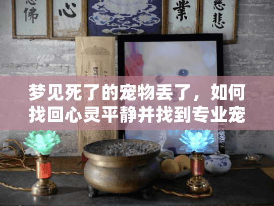 梦见死了的宠物丢了，如何找回心灵平静并找到专业宠物安葬服务？
