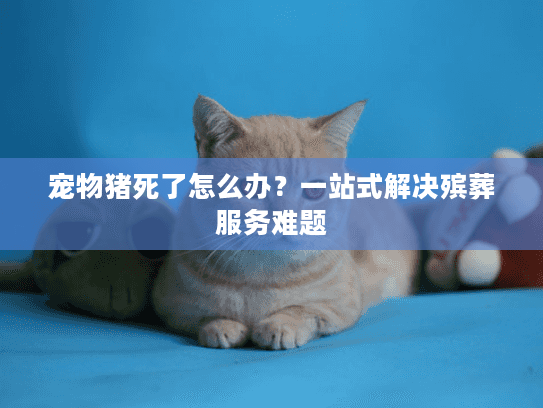 宠物猪死了怎么办？一站式解决殡葬服务难题