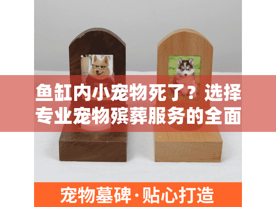 鱼缸内小宠物死了？选择专业宠物殡葬服务的全面指南