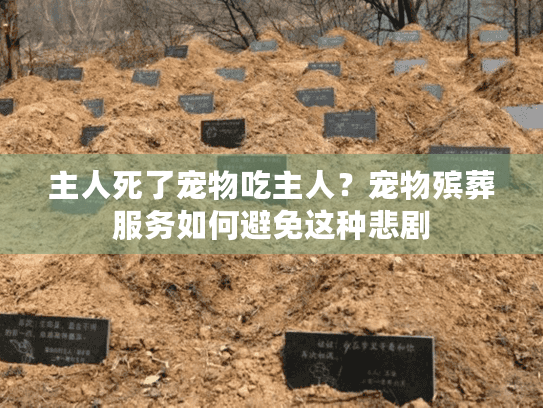 主人死了宠物吃主人？宠物殡葬服务如何避免这种悲剧