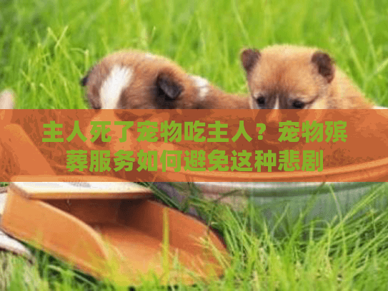 主人死了宠物吃主人？宠物殡葬服务如何避免这种悲剧