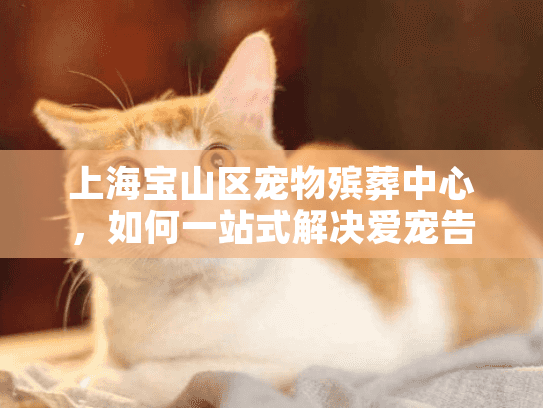 上海宝山区宠物殡葬中心，如何一站式解决爱宠告别难题？