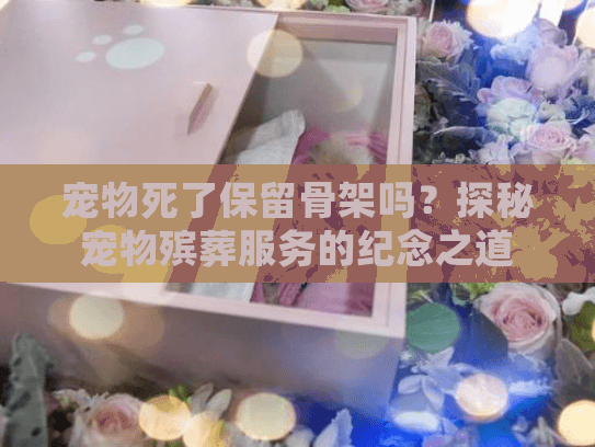 宠物死了保留骨架吗？探秘宠物殡葬服务的纪念之道