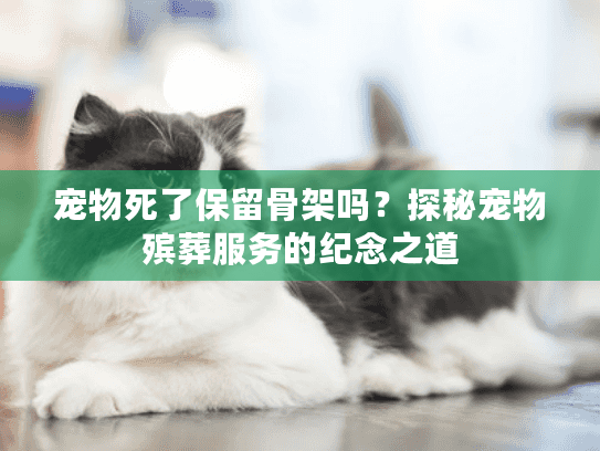 宠物死了保留骨架吗？探秘宠物殡葬服务的纪念之道