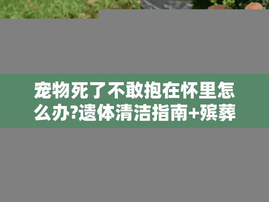 宠物死了不敢抱在怀里怎么办?遗体清洁指南+殡葬机构推荐
