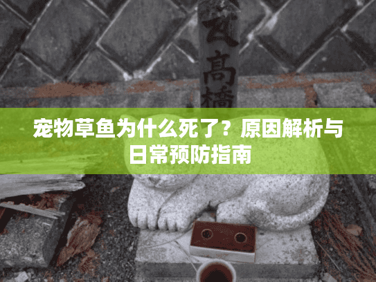 宠物草鱼为什么死了？原因解析与日常预防指南