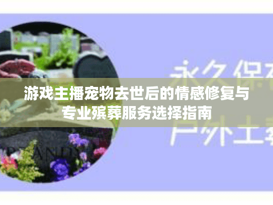 游戏主播宠物去世后的情感修复与专业殡葬服务选择指南