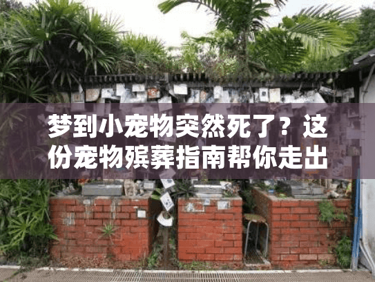 梦到小宠物突然死了？这份宠物殡葬指南帮你走出悲伤