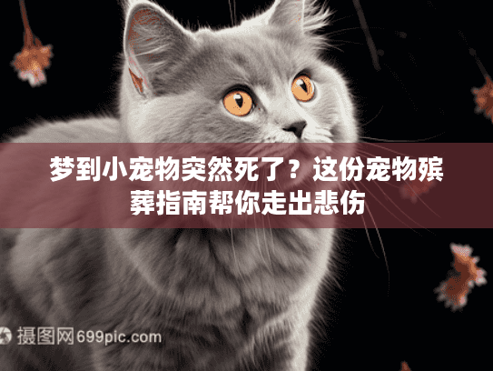 梦到小宠物突然死了？这份宠物殡葬指南帮你走出悲伤