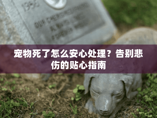 宠物死了怎么安心处理？告别悲伤的贴心指南