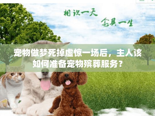 宠物做梦死掉虚惊一场后，主人该如何准备宠物殡葬服务？