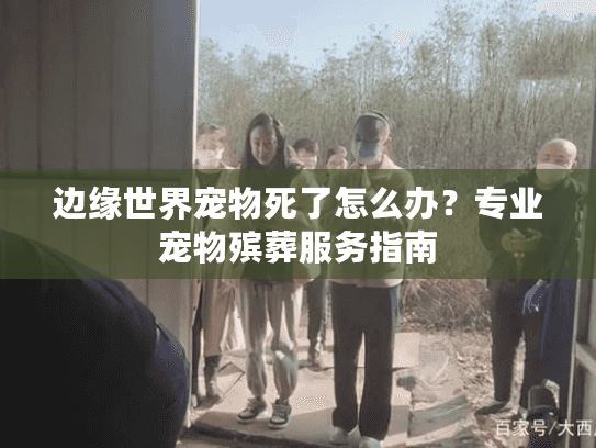 边缘世界宠物死了怎么办？专业宠物殡葬服务指南