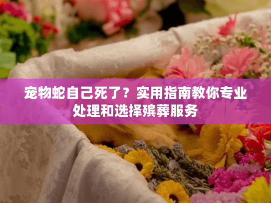 宠物蛇自己死了？实用指南教你专业处理和选择殡葬服务