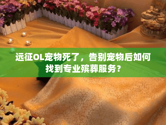 远征OL宠物死了，告别宠物后如何找到专业殡葬服务？