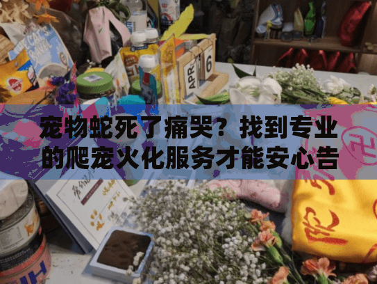 宠物蛇死了痛哭？找到专业的爬宠火化服务才能安心告别