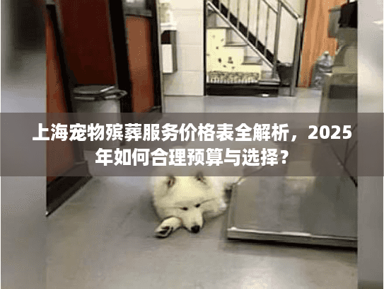 上海宠物殡葬服务价格表全解析，2025年如何合理预算与选择？