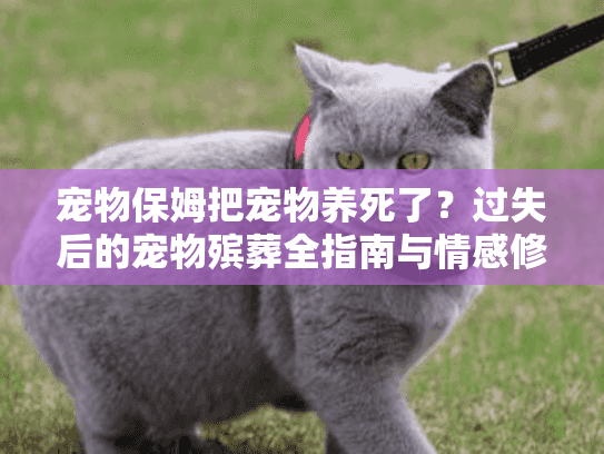 宠物保姆把宠物养死了？过失后的宠物殡葬全指南与情感修复