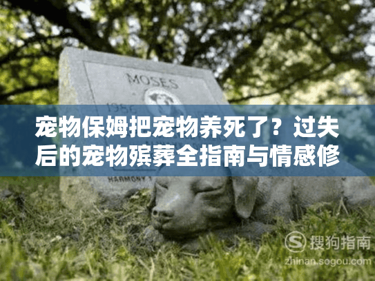 宠物保姆把宠物养死了？过失后的宠物殡葬全指南与情感修复