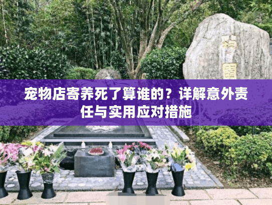 宠物店寄养死了算谁的？详解意外责任与实用应对措施