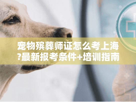 宠物殡葬师证怎么考上海?最新报考条件+培训指南2025