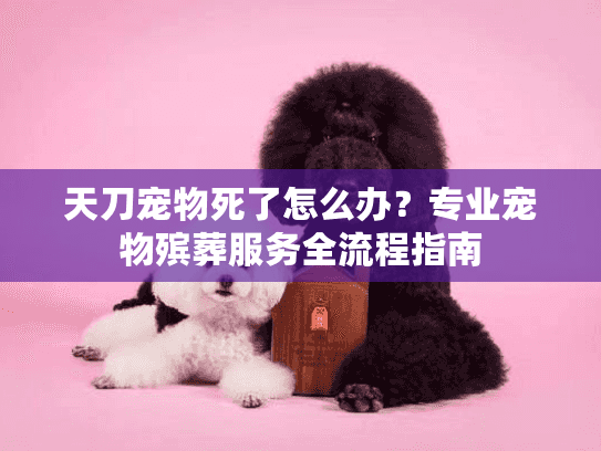 天刀宠物死了怎么办？专业宠物殡葬服务全流程指南