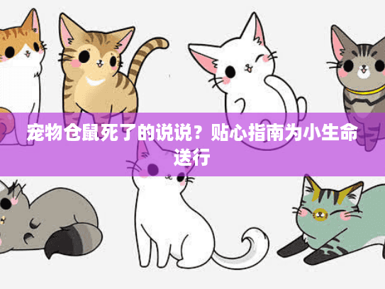宠物仓鼠死了的说说？贴心指南为小生命送行
