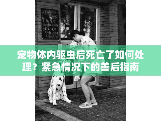 宠物体内驱虫后死亡了如何处理？紧急情况下的善后指南
