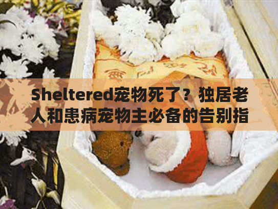 Sheltered宠物死了？独居老人和患病宠物主必备的告别指南