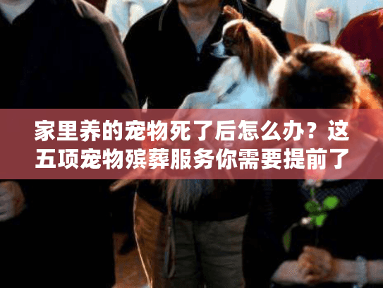 家里养的宠物死了后怎么办？这五项宠物殡葬服务你需要提前了解