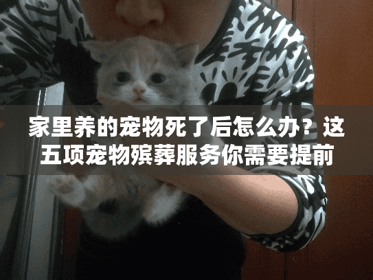 家里养的宠物死了后怎么办？这五项宠物殡葬服务你需要提前了解