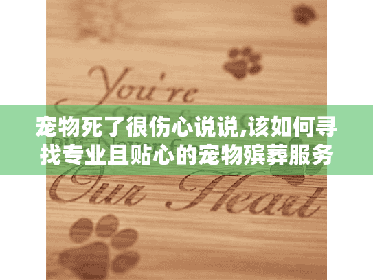 宠物死了很伤心说说,该如何寻找专业且贴心的宠物殡葬服务?