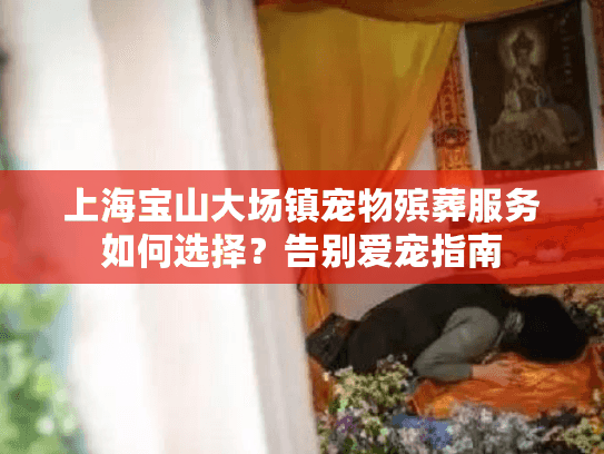 上海宝山大场镇宠物殡葬服务如何选择？告别爱宠指南
