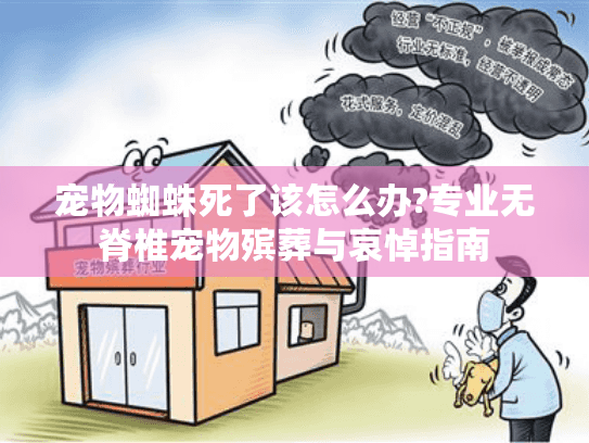 宠物蜘蛛死了该怎么办?专业无脊椎宠物殡葬与哀悼指南