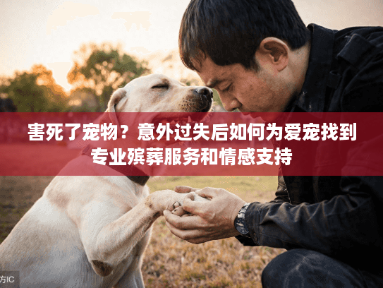 害死了宠物？意外过失后如何为爱宠找到专业殡葬服务和情感支持