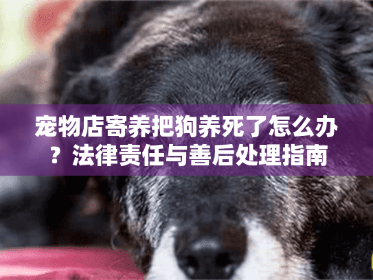 宠物店寄养把狗养死了怎么办？法律责任与善后处理指南