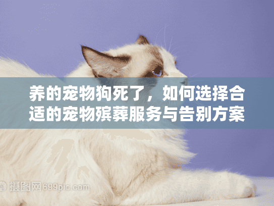 养的宠物狗死了,如何选择合适的宠物殡葬服务与告别方案? 养的宠物狗死了,如何选择合适的宠物殡葬服务与告别方案?
