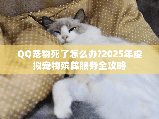 QQ宠物死了怎么办?2025年虚拟宠物殡葬服务全攻略