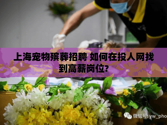 上海宠物殡葬招聘 如何在投人网找到高薪岗位?
