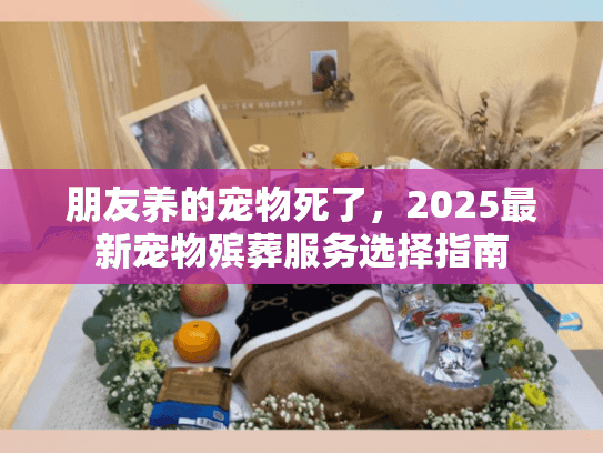 朋友养的宠物死了，2025最新宠物殡葬服务选择指南