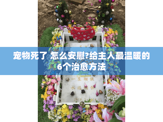 宠物死了 怎么安慰?给主人最温暖的6个治愈方法 宠物死了 怎么安慰?给主人最温暖的6个治愈方法