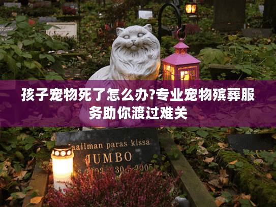 孩子宠物死了怎么办?专业宠物殡葬服务助你渡过难关
