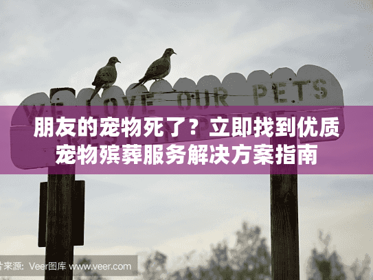 朋友的宠物死了？立即找到优质宠物殡葬服务解决方案指南