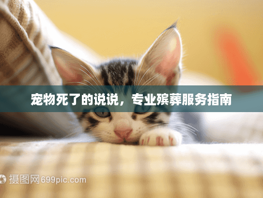 宠物死了的说说，专业殡葬服务指南