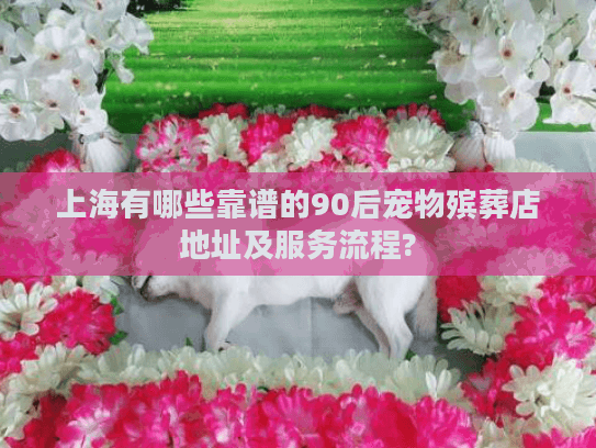上海有哪些靠谱的90后宠物殡葬店地址及服务流程?