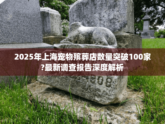 2025年上海宠物殡葬店数量突破100家?最新调查报告深度解析