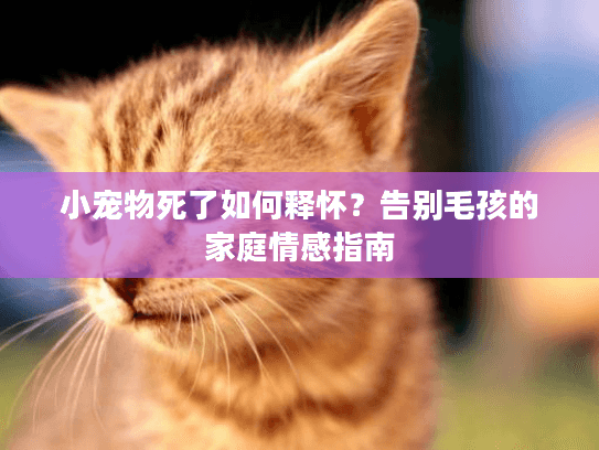 小宠物死了如何释怀?告别毛孩的家庭情感指南 小宠物死了如何释怀?告别毛孩的家庭情感指南