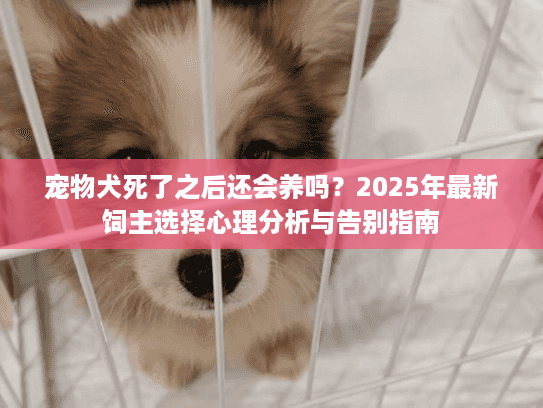 宠物犬死了之后还会养吗？2025年最新饲主选择心理分析与告别指南