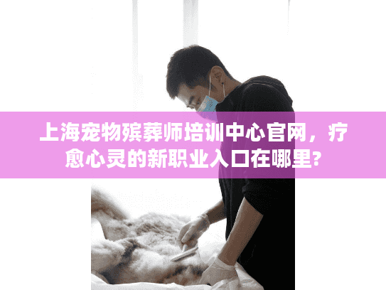 上海宠物殡葬师培训中心官网，疗愈心灵的新职业入口在哪里?